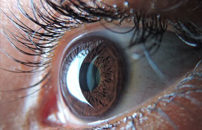 Generating “Mini-Retinas” from Human Stem Cells